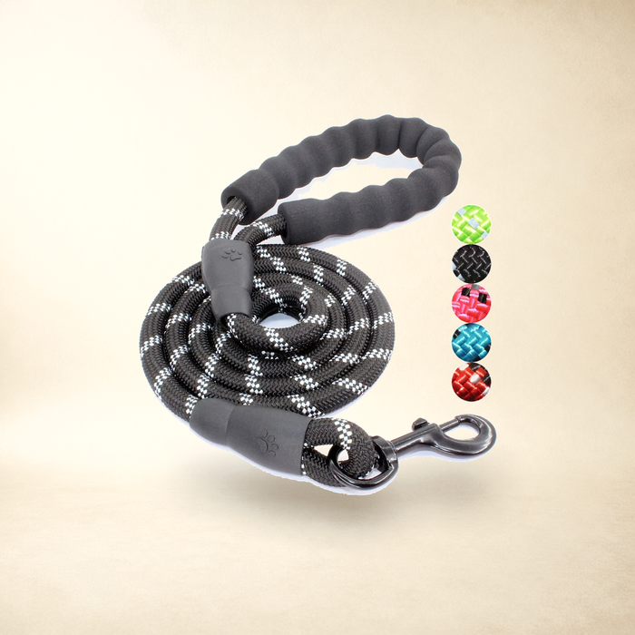 Reflective nylon leash, padded foam handle — Critter Kit at Jawsome Finds